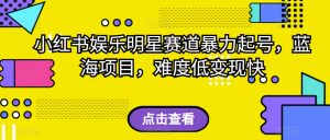 小红书娱乐明星赛道暴力起号,蓝海项目,难度低变现快【揭秘】-赚钱驿站
