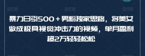 暴力日引500+男粉独家思路,将美女做成极具视觉冲击力的视频,单月盈利超2万轻轻松松-赚钱驿站