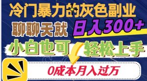 冷门暴利的副业项目，聊聊天就能日入300+，0成本月入过万【揭秘】-赚钱驿站