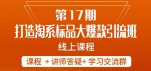 南掌柜-第17期打造淘系标品大爆款,5天线上课-赚钱驿站
