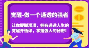 觉醒-做一个通透的强者，让你醍醐灌顶，拥有通透人生的觉醒开悟课，掌握强大的秘密！-赚钱驿站