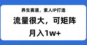 养生赛道,素人IP打造,流量很大,可矩阵,月入1w+【揭秘】-赚钱驿站