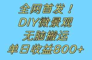 全网首发冷门赛道!DIY微景观,无脑搬运视频,日收益800+【揭秘】-赚钱驿站