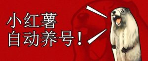 小红书养号秘籍,如何自动涨粉清晰系统标签打造高权重账号【揭秘】-赚钱驿站