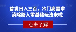 首发日入三百,冷门高需求消除路人零基础玩法来啦【揭秘】-赚钱驿站