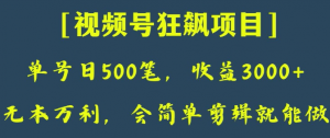 日收款500笔,纯利润3000+,视频号狂飙项目,会简单剪辑就能做【揭秘】-赚钱驿站