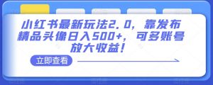 小红书最新玩法2.0,靠发布精品头像日入500+,可多账号放大收益!【揭秘】-赚钱驿站