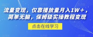 流量变现,仅靠播放量月入1W+,简单无脑,保姆级实操教程【揭秘】-赚钱驿站