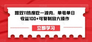 蹭双11热度吃一波肉,单号单日收益100+可复制放大操作【揭秘】-赚钱驿站