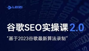 雷子·谷歌SEO 2.0实战课,独立站询盘自由必备,基于2023谷歌最新算法录制-赚钱驿站