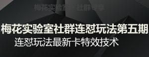 梅花实验室社群连怼玩法第五期,视频号连怼玩法最新卡特效技术-赚钱驿站