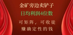 金矿旁边卖铲子,赚确定性的钱,可矩阵,可收徒,日均利润4位数【揭秘】-赚钱驿站