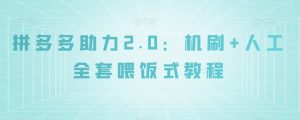 拼多多助力2.0：机刷+人工全套喂饭式教程【揭秘】-赚钱驿站