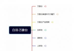 白羽·直引万搜索全篇,从0-1,多个类目实操经验总结付费-赚钱驿站