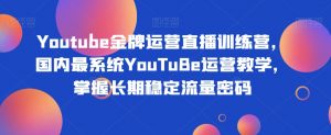 Youtube金牌运营直播训练营,国内最系统YouTuBe运营教学,掌握长期稳定流量密码-赚钱驿站