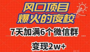 全网首发,爆火的夜校,7天加满6个微信群,变现2w+【揭秘】-赚钱驿站