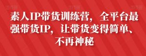 素人IP带货训练营，全平台最强带货IP，让带货变得简单、不再神秘-赚钱驿站