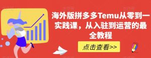 海外版拼多多Temu从零到一实践课,从入驻到运营的最全教程-赚钱驿站
