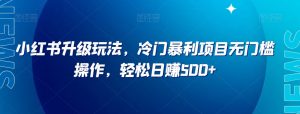 小红书升级玩法,冷门暴利项目无门槛操作,轻松日赚500+【揭秘】-赚钱驿站