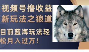 视频号撸收益新玩法之狼道，目前蓝海玩法，轻松月入过万【揭秘】-赚钱驿站