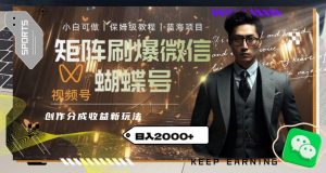 矩阵刷爆微信蝴蝶号创作者分成计划收益的新玩法,日入2000+【揭秘】-赚钱驿站