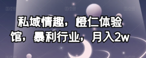 私域情趣,橙仁体验馆,暴利行业,月入2w【揭秘】-赚钱驿站