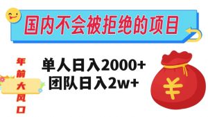 在国内不怕被拒绝的项目,单人日入2000,团队日入20000+【揭秘】-赚钱驿站