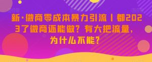 新·微商零成本暴力引流丨都2023了微商还能做?有大把流量,为什么不能?-赚钱驿站