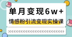 单月变现6W+，抖音情感粉引流变现实操课，小白可做，轻松上手，独家赛道【揭秘】-赚钱驿站