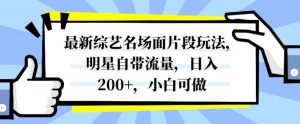 最新综艺名场面片段玩法，明星自带流量，日入200+，小白可做【揭秘】-赚钱驿站