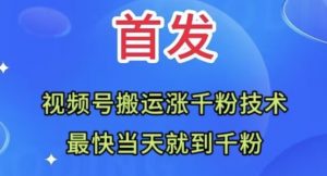 全网首发:视频号无脑搬运涨千粉技术,最快当天到千粉【揭秘】-赚钱驿站