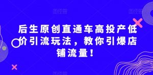 后生原创直通车高投产低价引流玩法，教你引爆店铺流量！-赚钱驿站
