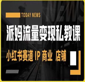 派妈流量变现私教课,小红书赛道IP  商业  店铺 -赚钱驿站