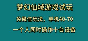 梦幻仙域游戏试玩，免微信玩法，单机40-70，一个人同时操作十台设备【揭秘】-赚钱驿站