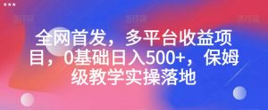 全网首发,多平台收益项目,0基础日入500+,保姆级教学实操落地【揭秘】-赚钱驿站
