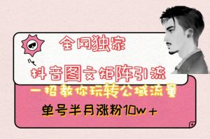 全网独家抖音图文矩阵引流,一招教你玩转公域流量,单号半月涨粉10w+【揭秘】-赚钱驿站
