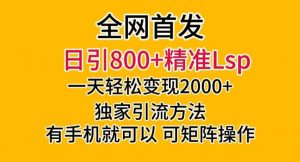 全网首发!日引800+精准老色批,一天变现2000+,独家引流方法,可矩阵操作【揭秘】-赚钱驿站