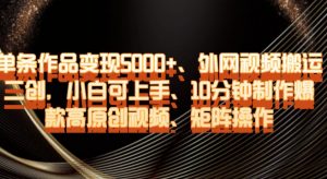 单条作品变现5000+、外网视频搬运二创，小白可上手，10分钟制作爆款高原创视频，矩阵操作【揭秘】-赚钱驿站