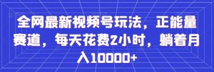 全网最新视频号玩法,正能量赛道,每天花费2小时,躺着月入10000+【揭秘】-赚钱驿站