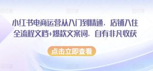 小红书电商运营从入门到精通,店铺入住全流程文档+爆款文案词,自有非凡收获-赚钱驿站