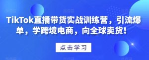 TikTok直播带货实战训练营,引流爆单,学跨境电商,向全球卖货!-赚钱驿站