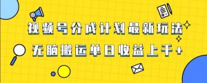 视频号最新爆火赛道玩法,只需无脑搬运,轻松过原创,单日收益上千【揭秘】-赚钱驿站