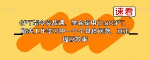 GPT指令实战课,学会使用ChatGPT,解决工作学习中一个个具体问题,真正提高效率-赚钱驿站