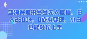 蓝海赛道拼多多无人直播，日入2600+，0成本变现，小白也能轻松上手【揭秘】-赚钱驿站