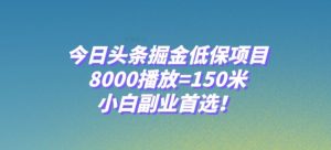 今日头条掘金低保项目，8000播放=150米，小白副业首选【揭秘】-赚钱驿站