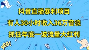 抖音直播暴利项目,有人30小时收入36万音浪,公司宣传片年会视频制作,抓住年底一波流量大红利【揭秘】-赚钱驿站