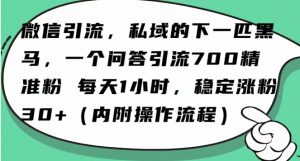 怎么搞精准创业粉？微信新赛道，每天一小时，利用Ai一个问答日引100精准粉-赚钱驿站