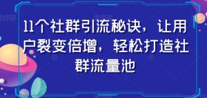 11个社群引流秘诀，让用户裂变倍增，轻松打造社群流量池-赚钱驿站