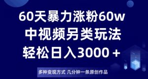 60天暴力涨粉60W,中视频另类玩法,日入3000+,几分钟一条原创作品多种变现方式-赚钱驿站