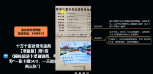 十万个富翁修炼宝典之5.揭秘旅游卡项目骗局,号称“一张卡赚500,一天能卖两三张”-赚钱驿站